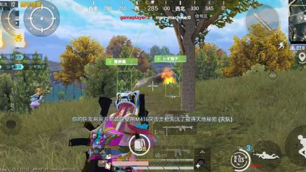 和平精英【EAD内部】辅助